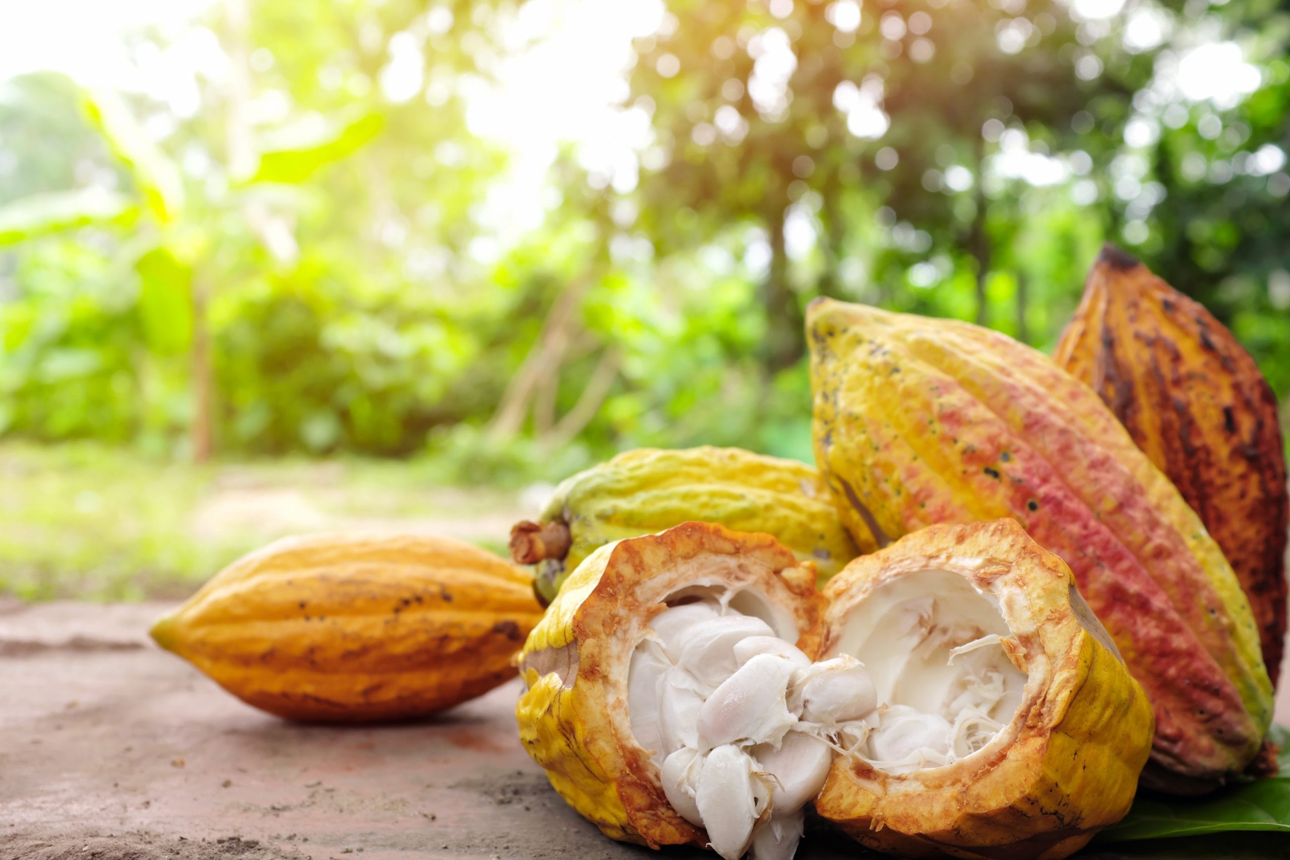 iStock 1296269276 scaled