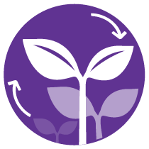 bioestimulantes