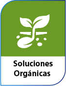 bn solucionesorg bn solucionesorg